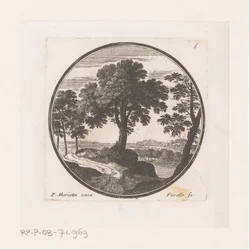 Veduta di alberi lungo l