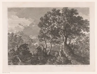 Paesaggio collinare con alberi