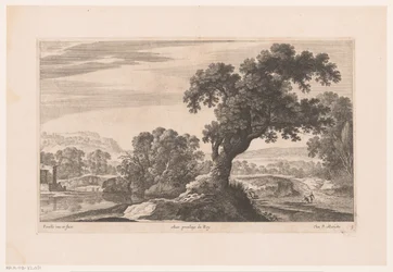 Paesaggio con albero vicino al lago