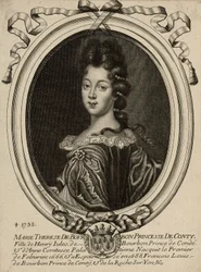 Maria Teresa di Borbone, principessa di Conti