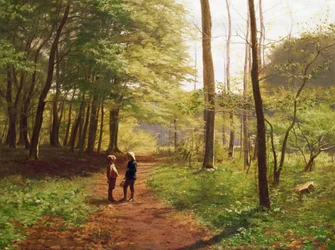 Una passeggiata nella foresta