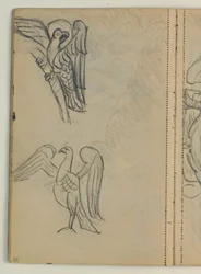 Studi di uccelli, probabilmente da un modello
