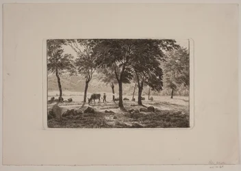 Alléen