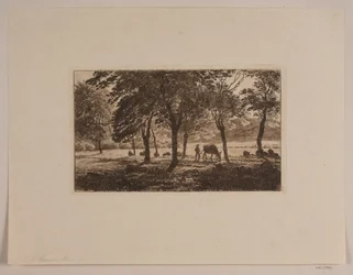 Il viale