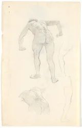Studio di modello