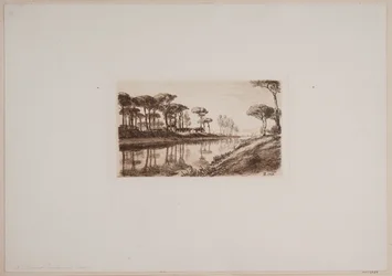 La pineta di Classe