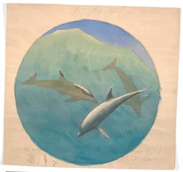 Delfini saltanti