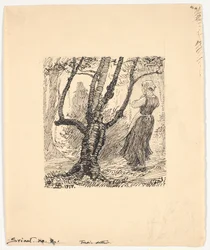 Il maiale