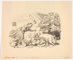 Il maiale