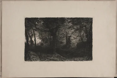 La Foresta dei Troll