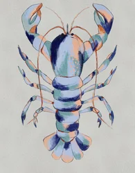Aragosta blu colorata