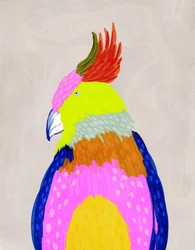 Pappagallo tropicale dai colori vivaci