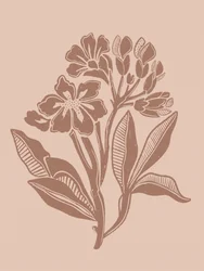 Fiori botanici dai toni terrosi