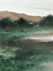 Paesaggio montano nebbioso