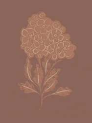 Fioritura botanica rustica
