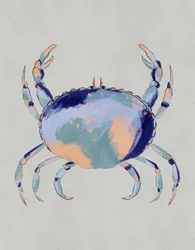 Granchio blu sereno