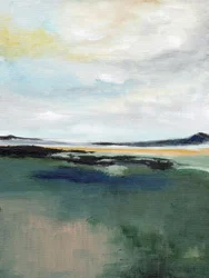 Paesaggio sereno di paludi
