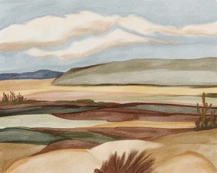 Panorama del deserto sud-occidentale