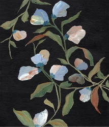 Fiori di pisello odoroso
