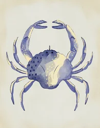 Granchio blu ad acquerello