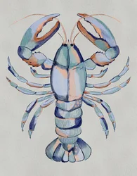 Aragosta blu ad acquerello