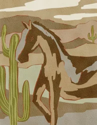 Cavallo selvatico del deserto