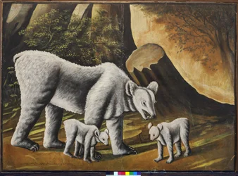 Una orsa con cuccioli