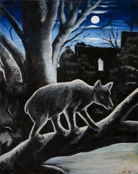 Orso nella notte di luna