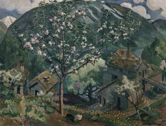 Melo in piena fioritura