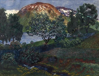 Notte di giugno in giardino