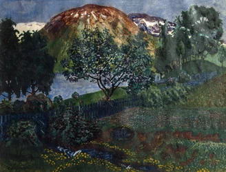 Notte di giugno in giardino