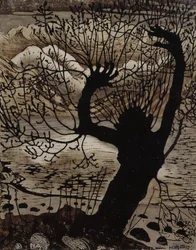 Notte di primavera e salice