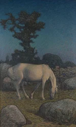 Cavallo bianco al crepuscolo