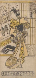 La casa di Umegawa
