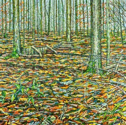 Orches Groundscape, 2023