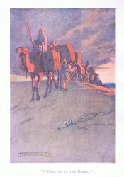Una carovana nel deserto