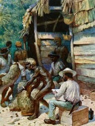 Un commerciante delle isole del Sud Pacifico e i suoi sacchi di noci d