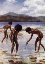 Alla ricerca di piccoli polpi sulla barriera corallina a bassa marea, Samari, Nuova Guinea britannica
