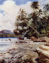 La barriera corallina vicino a Simbo, Isole Salomone