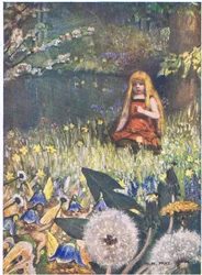 Le campanelle di maggio e i fiori: "Ora so che non posso più restare a casa, le campanelle di maggio mi chiamano"