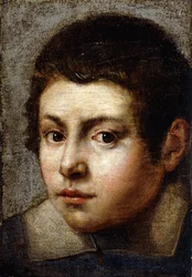 Testa di un Ragazzo