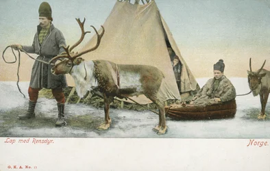 Lapponi con renne, Norvegia
