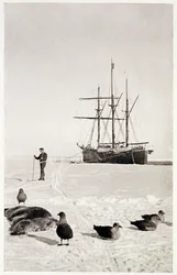 Il "Fram" nella Baia delle Balene, da "Il Polo Sud: Un resoconto della spedizione antartica norvegese nel 