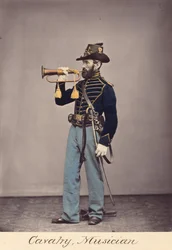 Cavaliere, Musicista