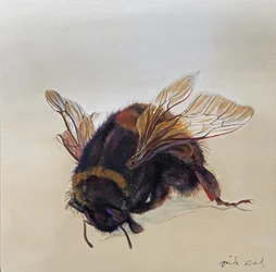 Bombus terrestris 10, 2013 (acrilico su legno)
