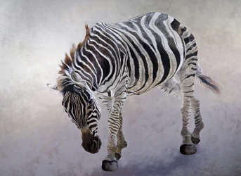 Equus burchelli 2, 2010 (acrilico su tela)