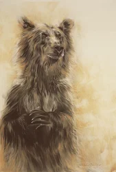 Orso Grizzly 1, 2002 (matita di carbonio, carboncino e gesso)