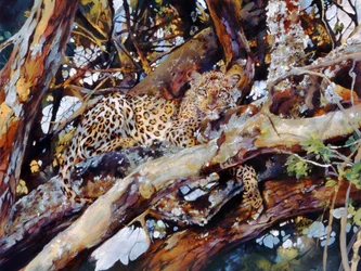 Leopardo keniota