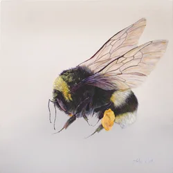 Sacco di polline 2, 2011 (acrilico su legno)