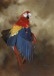 Ara scarlatta 1, 2000 (acrilico su lino)